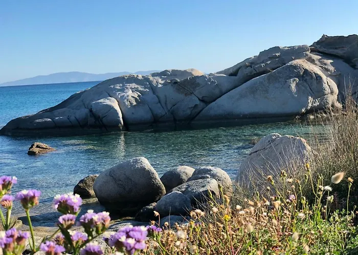 Naxian Wave Seaside Mikrí Vígla