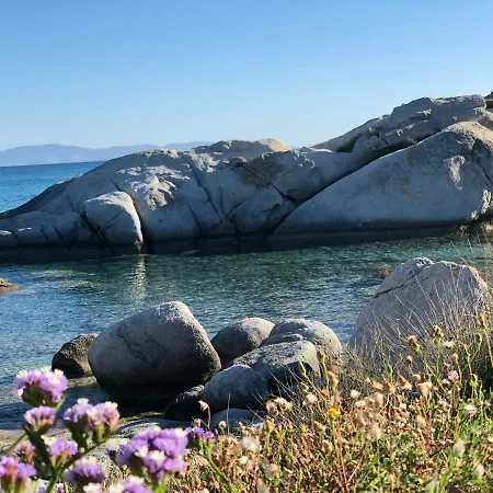 Naxian Wave Seaside Mikri Vigla